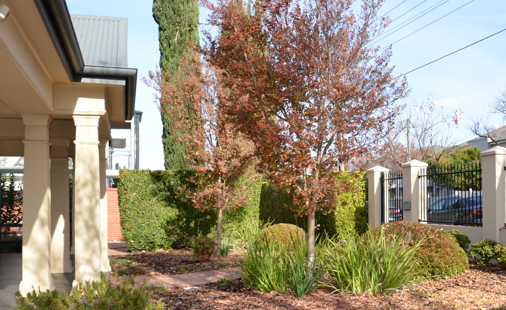 Front garden transformation